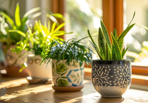 Clean Air Flow With Top Air Purifying Plants For Your HVAC Filters